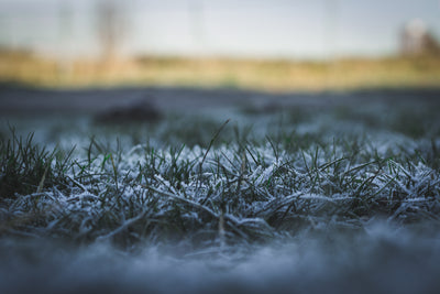 “Can golf balls freeze?” And other winter golf FAQs